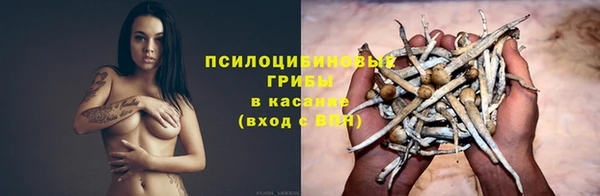 МДПВ Белокуриха