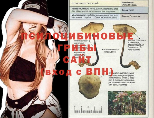 синтетический гашиш Белоозёрский