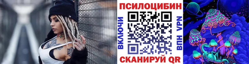 Галлюциногенные грибы Cubensis Няндома