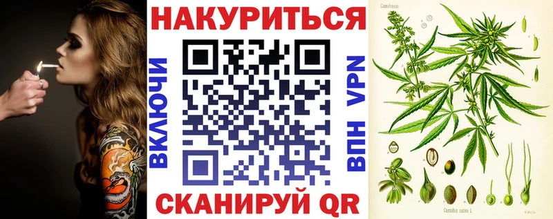 где можно купить наркотик  hydra рабочий сайт  МАРИХУАНА SATIVA & INDICA  Няндома 
